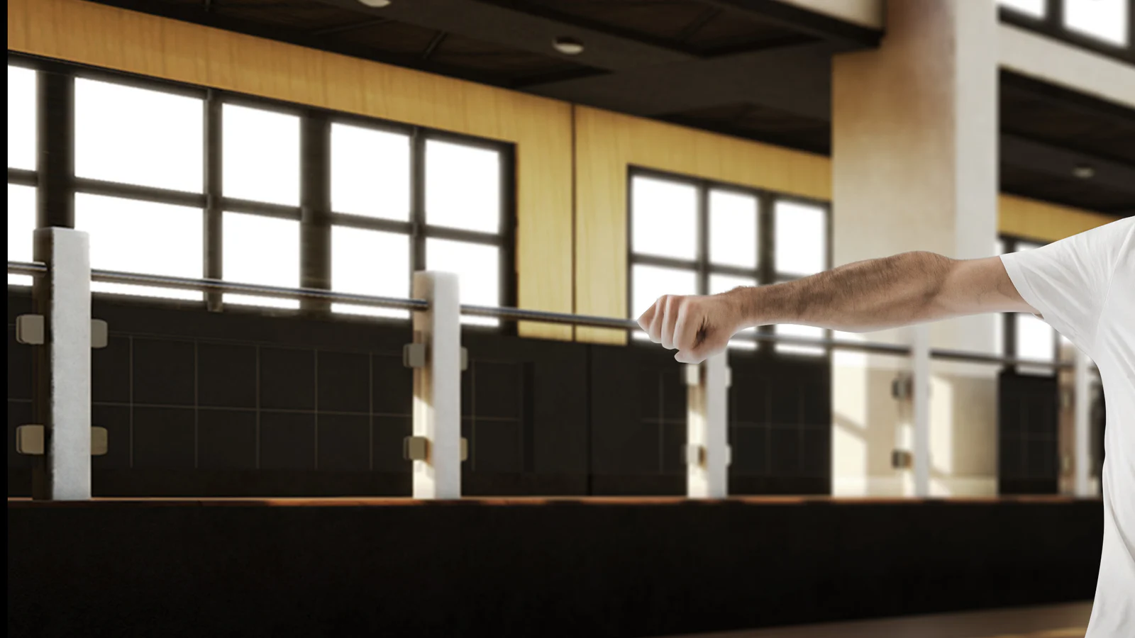 BoxVR official gameplay image