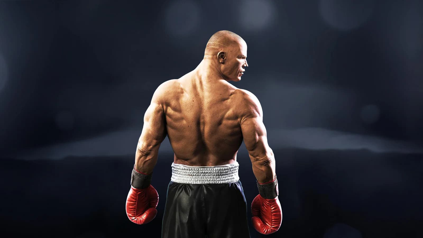 Real Boxing 2 official gameplay image