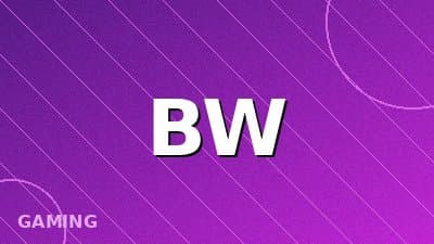 Boneworks